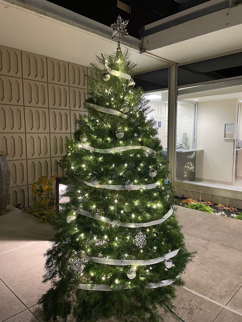Christmas tree decorated with lights